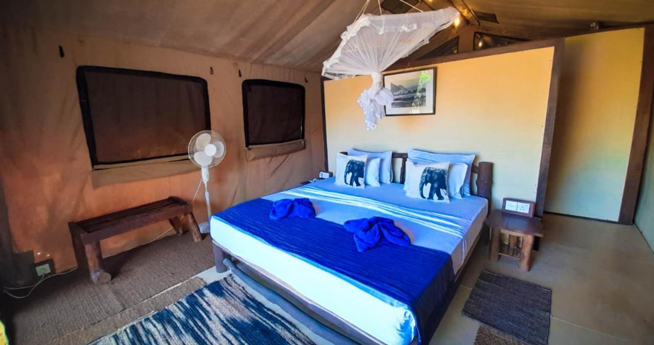 Back Of Beyond Dune Camp יאלה מראה חיצוני תמונה