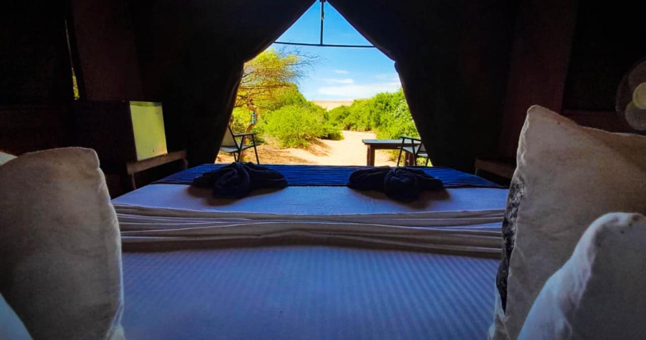 Back Of Beyond Dune Camp יאלה מראה חיצוני תמונה