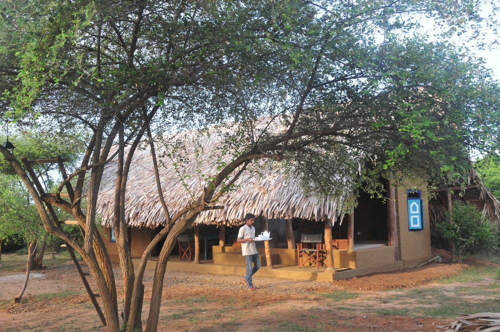 Back Of Beyond Dune Camp יאלה מראה חיצוני תמונה