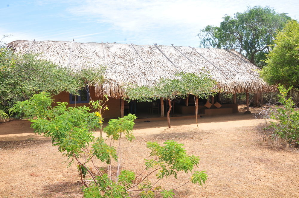 Back Of Beyond Dune Camp יאלה מראה חיצוני תמונה