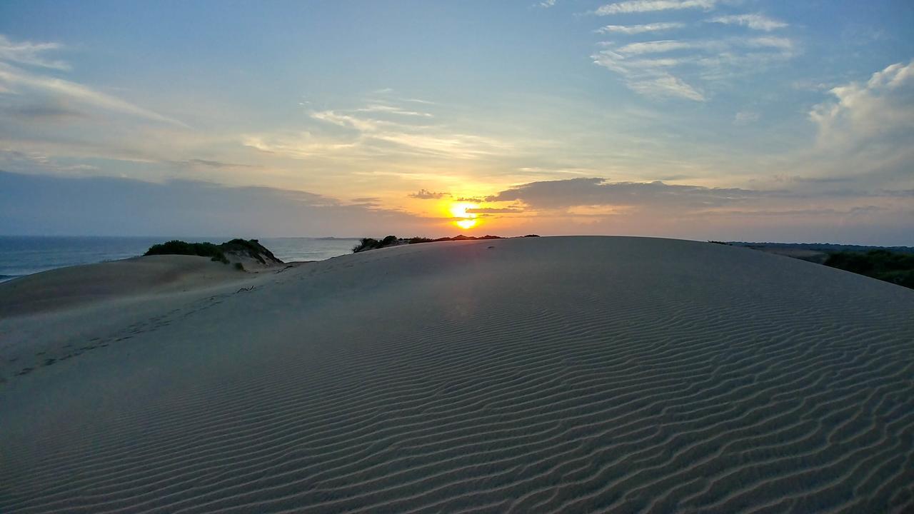 Back Of Beyond Dune Camp יאלה מראה חיצוני תמונה