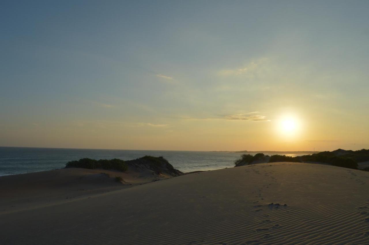 Back Of Beyond Dune Camp יאלה מראה חיצוני תמונה